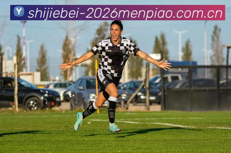 世界杯2026门票服务体系